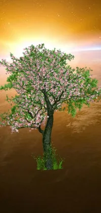 This phone live wallpaper showcases a stunning digital rendering of a solitary tree in a barren desert