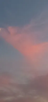 This phone live wallpaper showcases a visually stunning landscape of a plane flying through a gorgeous sunset sky
