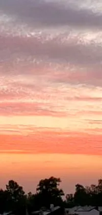 Experience the thrill of soaring through the sky with this live wallpaper featuring a plane flying amidst a breathtaking orange/pink horizon
