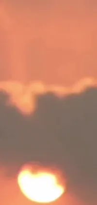 This live wallpaper for phones showcases a panoramic view of a plane flying during sunset amidst a VHS screencap filter