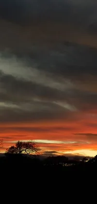 This phone live wallpaper flaunts a mesmerizing sky with wispy white clouds romancing the horizon