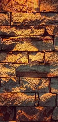Check out this modern and eye-catching live wallpaper for your phone! With a highly detailed brick wall design in warm orange tones and Instagram filters, this wallpaper is the perfect way to add some style to your mobile device
