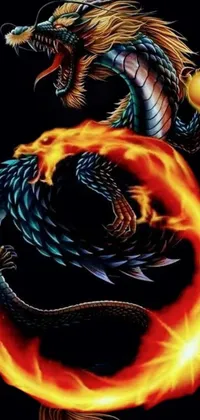 Looking for a dragon-themed live wallpaper to spice up your phone screen? Look no further than this stunning dragon and fireball artwork! Featuring a detailed and intricately designed dragon with impressive scales and a menacing expression, this amoled wallpaper is perfect for any OLED screen