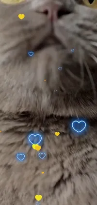 Organism Cat Screenshot Live Wallpaper