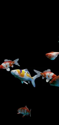 Organism Entertainment Fish Live Wallpaper