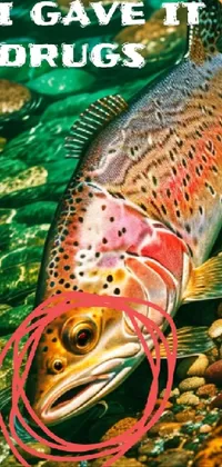 Organism Fish Adaptation Live Wallpaper