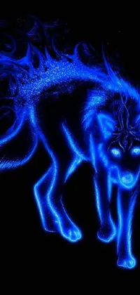 This phone live wallpaper captivates with a holographic blue wolf on a black background