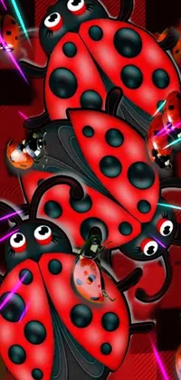 This captivating phone live wallpaper showcases a digital artwork of charming ladybugs perched on top of each other