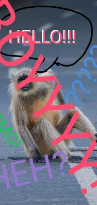 Get ready to give your smartphone a fun and playful touch with this live wallpaper featuring a monkey on the side of the road