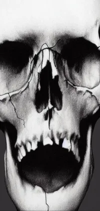 This live wallpaper features a striking black and white image of a skull