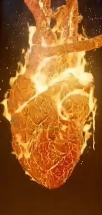 Organism Heat Fire Live Wallpaper