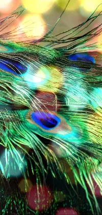 Enjoy the lush natural beauty of a peacock's tail feathers with this stunning phone live wallpaper
