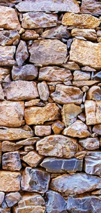 Outdoor Rock Wall Live Wallpaper