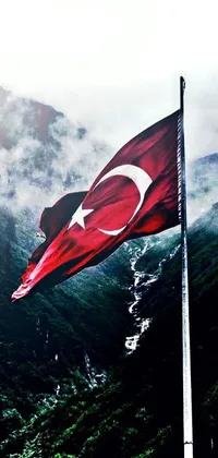 Display your patriotism with this Turkish flag live wallpaper