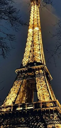 This phone live wallpaper depicts a nighttime view of the Eiffel Tower