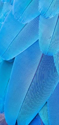 Outerwear Azure Textile Live Wallpaper