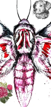 This phone live wallpaper features a striking hand-drawn image of a moth with blood on its wings, inspired by transgressive art styling