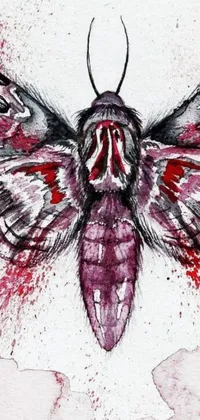 This phone live wallpaper features a striking, transgressive drawing of a moth with blood on its wings