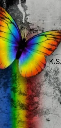This live wallpaper showcases a delightful and vibrant butterfly perched on a colorful wall reminiscent of a beloved photo album cover
