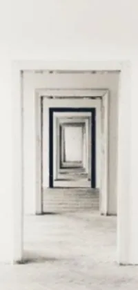 This live wallpaper features a striking black and white photo of a hallway with cosmic portals as doors