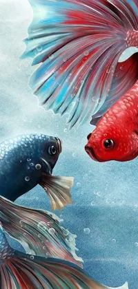This lively phone live wallpaper showcases a digital art design of two fish swimming in close proximity