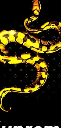 Looking for an edgy and high-contrast live wallpaper for your phone? Look no further than this dynamic design featuring a strikingly lifelike image of a snake in vivid digital graphics