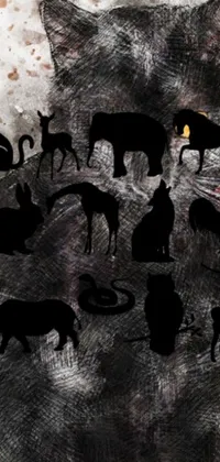 This phone live wallpaper features a captivating black and white cave painting with a cat in the center and other animals surrounding it