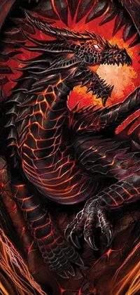 This striking live phone wallpaper features a detailed cover artwork of a roaring red and black dragon by Anne Stokes