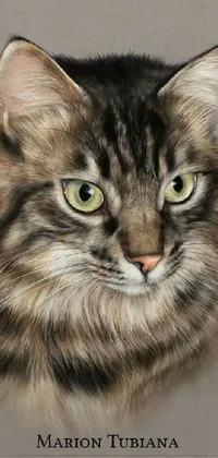 Painting Carnivore Cat Live Wallpaper