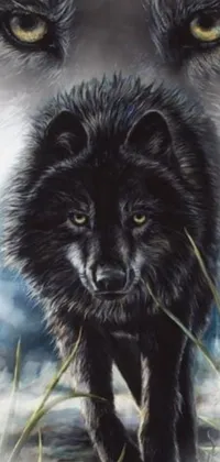 Get a captivating black wolf live wallpaper for your phone