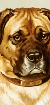 This phone live wallpaper depicts a digital art illustration of a boxer dog wearing a collar
