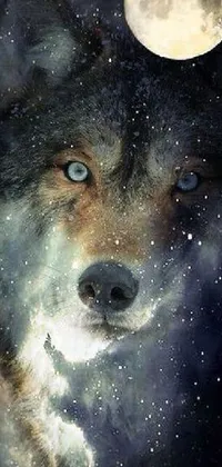 Transform your phone screen with a mystical live wallpaper featuring a stunning wolf under the full moon