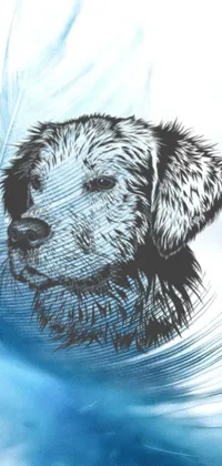 Looking for a charming and unique live wallpaper for your phone? Check out this delightful puppy-themed option! With a close-up of a furry dog face resting on a feather, this stipple art design is full of intricate details and a soothing sky blue background