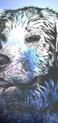 Discover a one-of-a-kind phone live wallpaper that showcases a furry dog in a close-up view against a vivid sky background