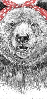 This live wallpaper features a highly-detailed, black and white drawing of a bear wearing a striking red bandana