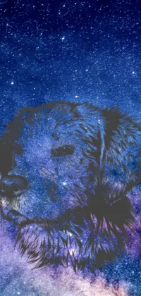 This live wallpaper for phones features an captivating close-up of a charming dog in front of a vibrant galaxy background