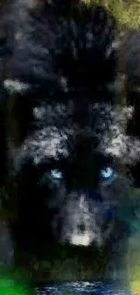 Get a stunning phone live wallpaper featuring a breathtaking painting of a black dog with piercing blue eyes