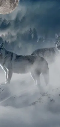 This live phone wallpaper features two wolves standing on a snow-covered slope in a mystical setting