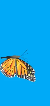 Painting Invertebrate Electric Blue Live Wallpaper