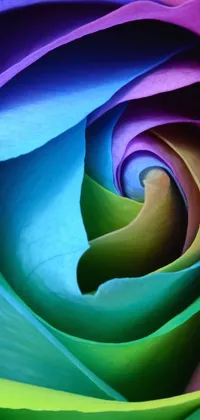 This phone live wallpaper showcases a magnificent rainbow-colored rose with an 8-w 1024 resolution