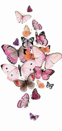 This live wallpaper boasts a stunning display of pink and orange butterflies against a pure white background