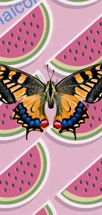 This phone live wallpaper features a lively butterfly resting on a slice of watermelon set against a pop art inspired background