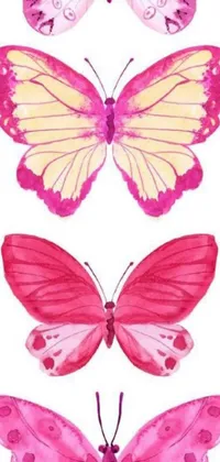This lovely live phone wallpaper features a group of watercolor butterflies in shades of pink and yellow on a white background