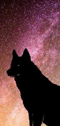 This live wallpaper features a stunning black wolf sitting on a rock in front of a breathtaking Milky Way background