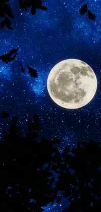 This phone live wallpaper showcases a serene nighttime scene with a full moon visible through trees