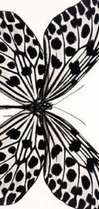 This mesmerizing live wallpaper for phones features a black and white butterfly set against a crisp white background
