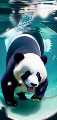 Panda Hood Light Live Wallpaper