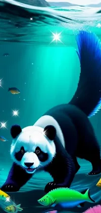 Panda Light Blue Live Wallpaper