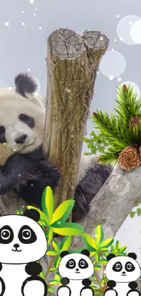 Panda Organism Natural Material Live Wallpaper