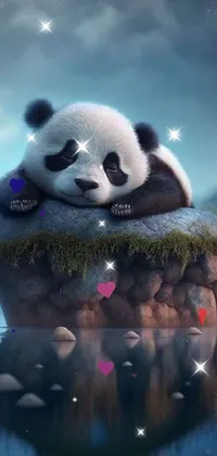 Panda Vertebrate Cloud Live Wallpaper